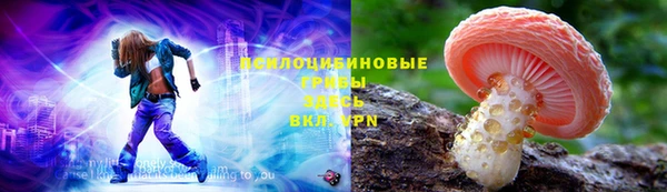spice Богородск