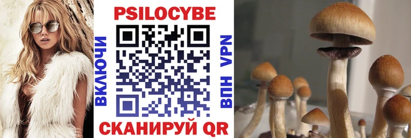 дарк нет наркотические препараты  Гусев  Псилоцибиновые грибы Psilocybine cubensis 