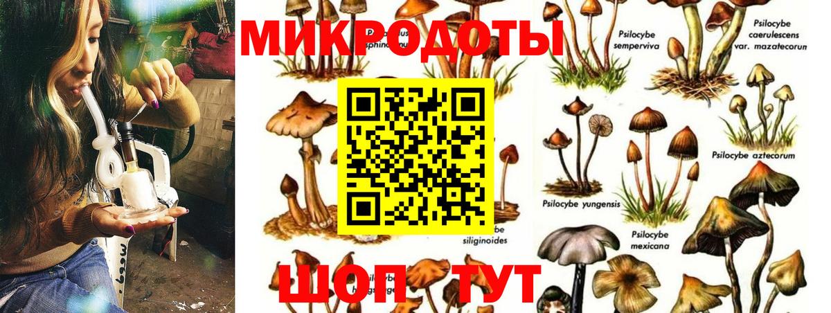 наркота  Вход с VPN  Гусев  Псилоцибиновые грибы GOLDEN TEACHER 